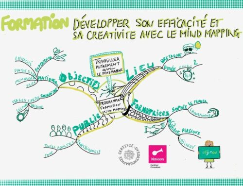 Travailler autrement avec le Mind Mapping : développer son efficacité et sa créativité